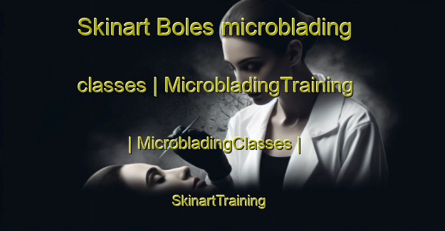 Skinart Boles microblading classes | MicrobladingTraining | MicrobladingClasses | SkinartTraining-United States
